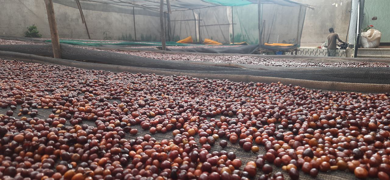 Coffee Operations