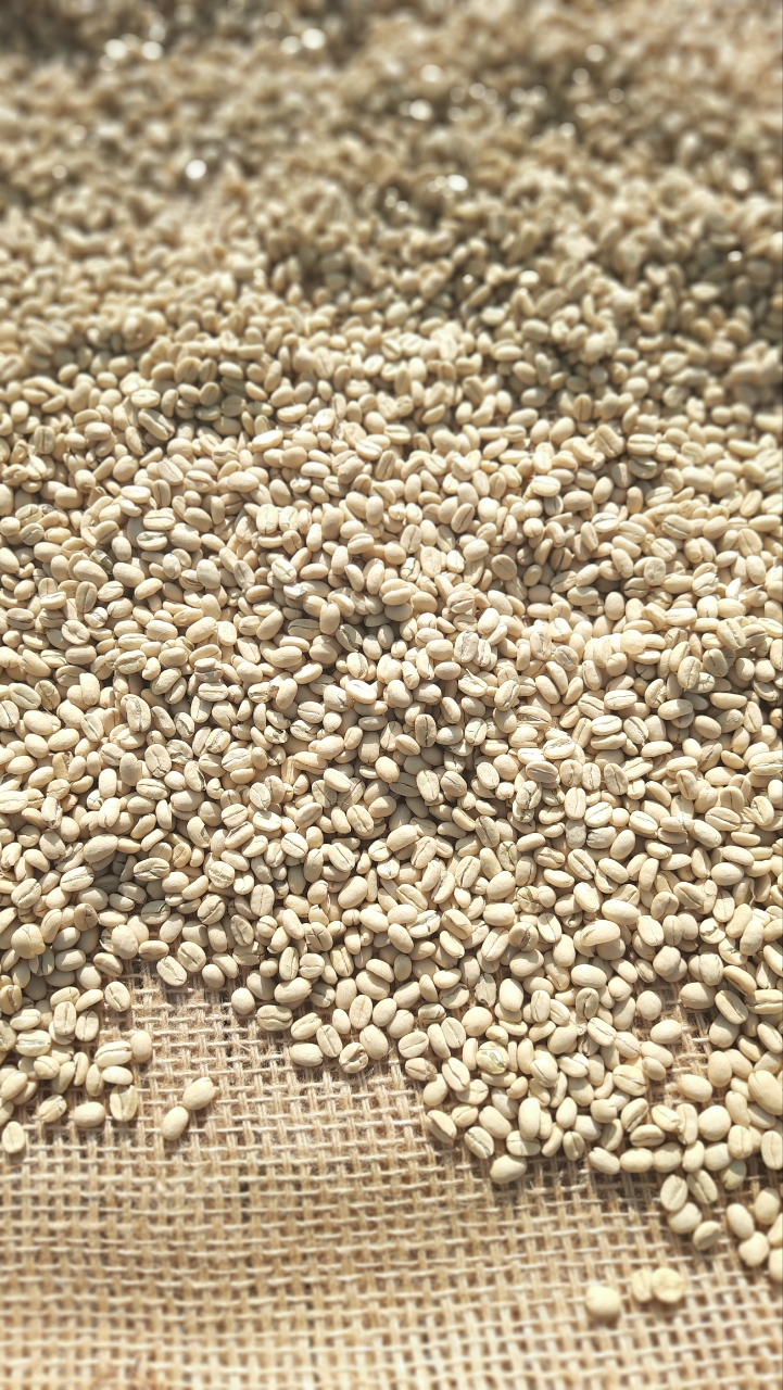 Coffee Operations
