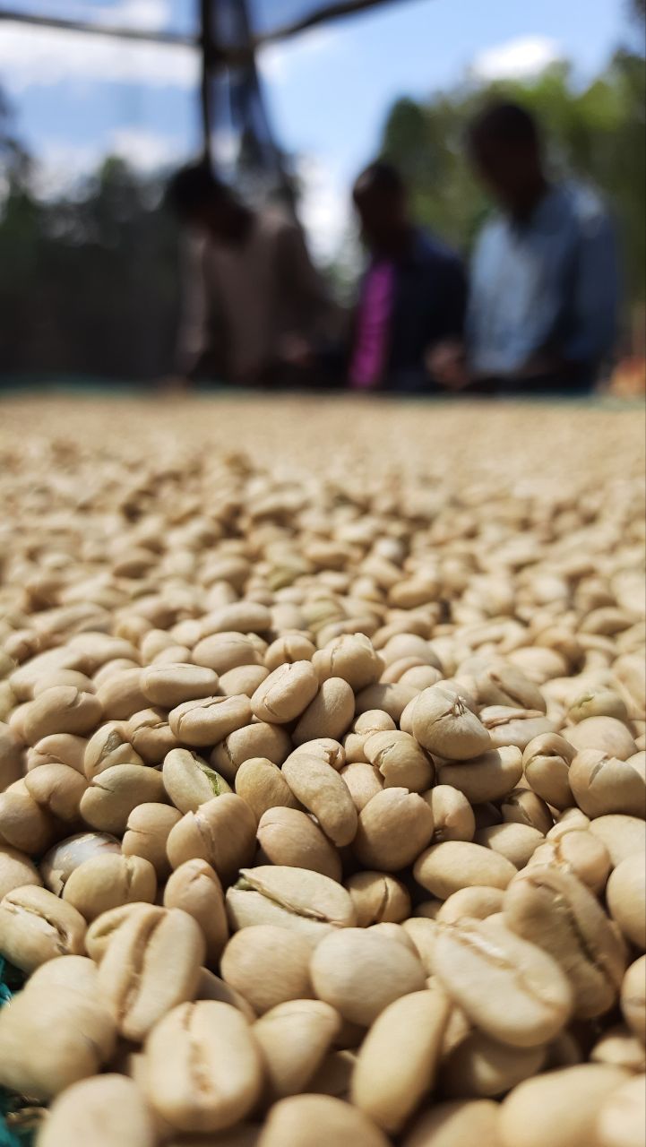 Coffee Operations