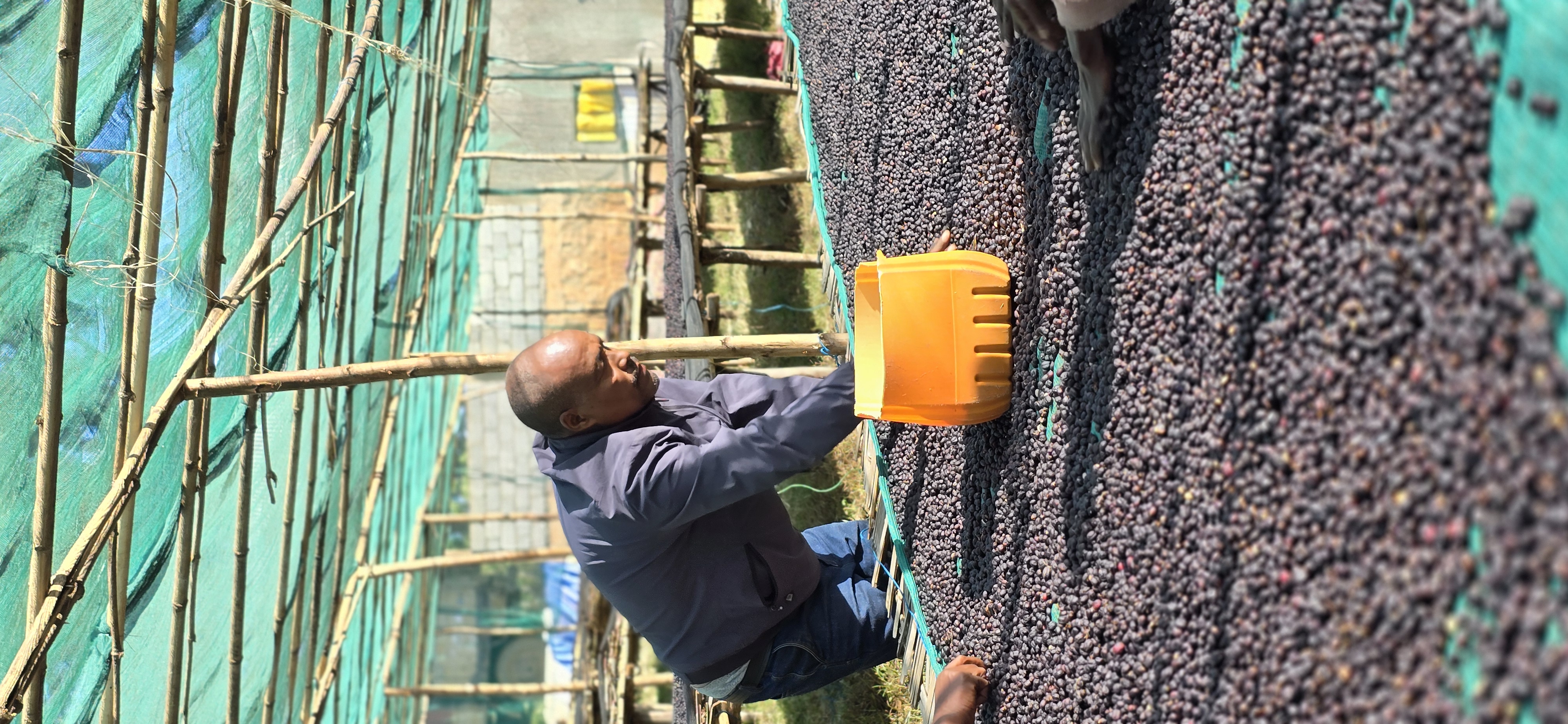 Coffee Operations
